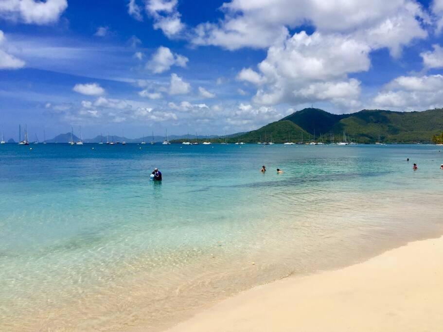 Le Hamo - Cosy : T2 magnifique piscine proche plage Sainte-Anne Extérieur photo