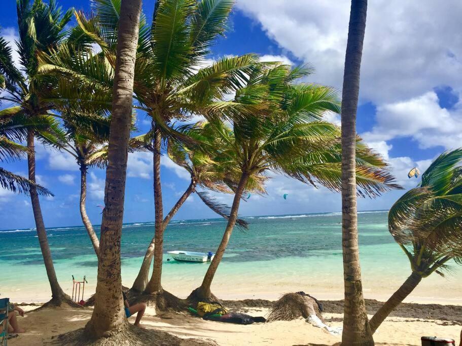 Le Hamo - Cosy : T2 magnifique piscine proche plage Sainte-Anne Extérieur photo