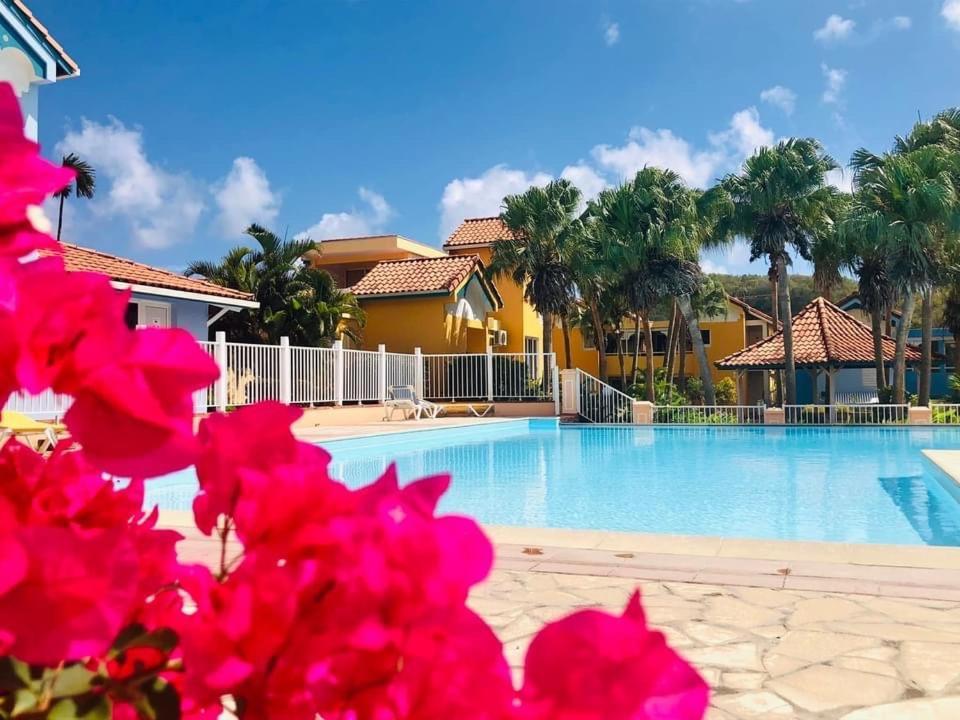 Le Hamo - Cosy : T2 magnifique piscine proche plage Sainte-Anne Extérieur photo